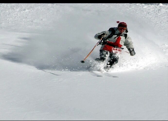 SA71 Profile image 2