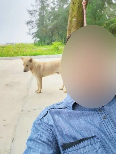 dfwink Profile image 1